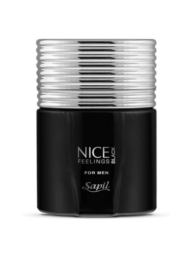 Sapil Nice Feelings Eau De Toilette 75ml, Affordable Luxury Perfume, Aromatic Fougere Fragrance with Lavender, Bergamot, Citrus, Lemon, Aromatic Top Notes, Bold Blend Perfumes for Men