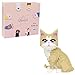 Larcele Cat Micro Building Blocks Animal Set DIY Mini 3D Building Toy Bricks Kit924 Pieces KLJM05 Golden Shorthair - Image 2