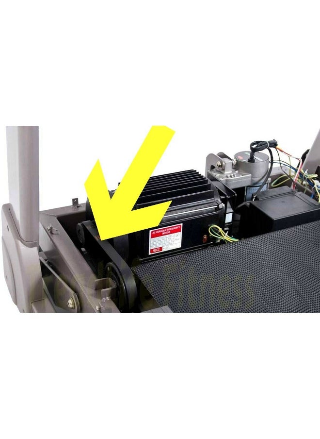 Treadmill Drive Belt - Compatible with Epic Treadmills - Part Number 311589 - Comes with Free Treadmill Lube!!