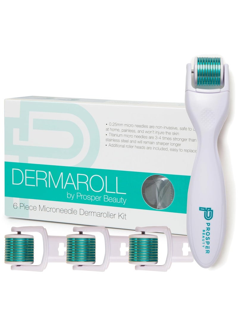Prosper Beauty Derma Roller Microneedle 6 Piece Kit [DERMAROLL by Prosper Beauty] Face Roller with 4 Replaceable Heads Exfoliation Microdermabrasion Micro Derma Skin Care Tool Dermaplaning Microneedling 