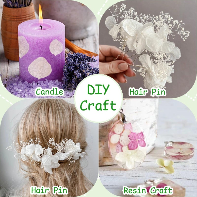 Gifugi 1500Pcs Real Dried Ivory White Hydrangea Flower Petals - Natural smal Petals for Wedding, Party Confetti, Romantic Night, Proposal Decor, Handcrafts (1.06 oz) - Image 4