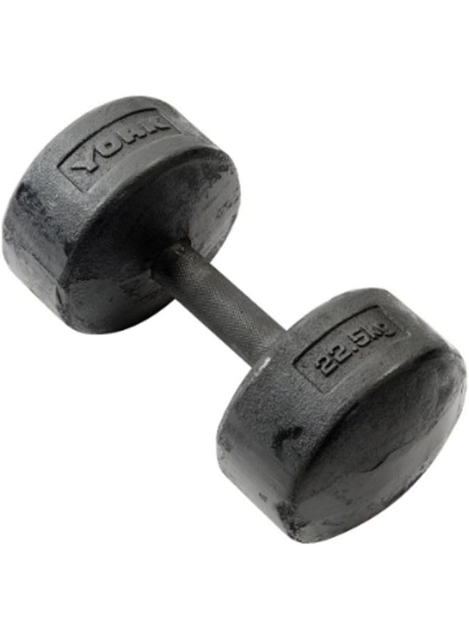 York DZLG11 22.5 kg Rubber Round Dumbbell