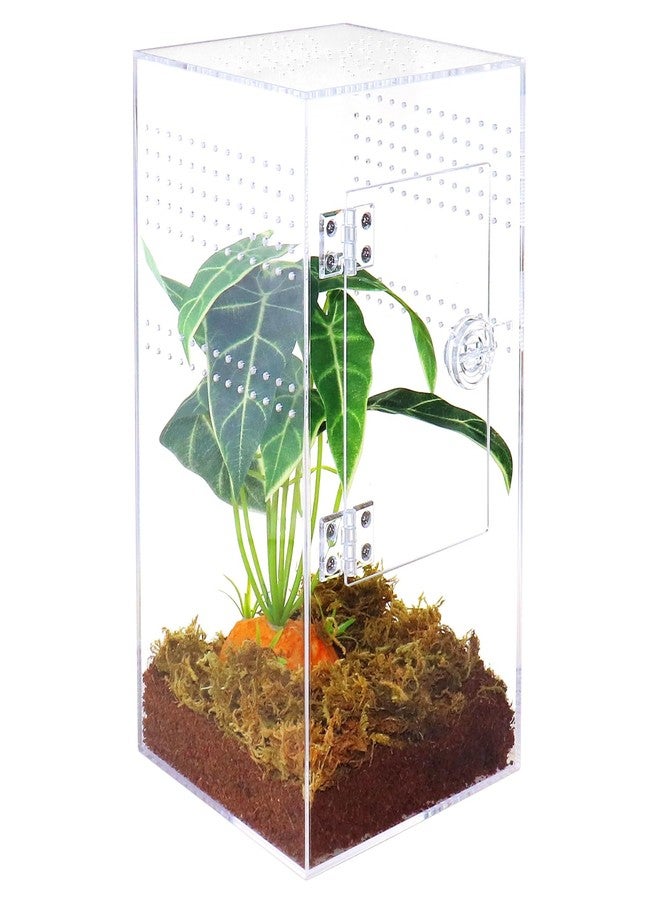 NANEEZOO Jumping Spider Enclosure with Front Opening Door, 6"x6"x12" Reptile Breeding Box Micro Habitat Terrarium for Small Tree Dwelling Reptiles, Spiders, Mantis & Invertebrates - Image 1