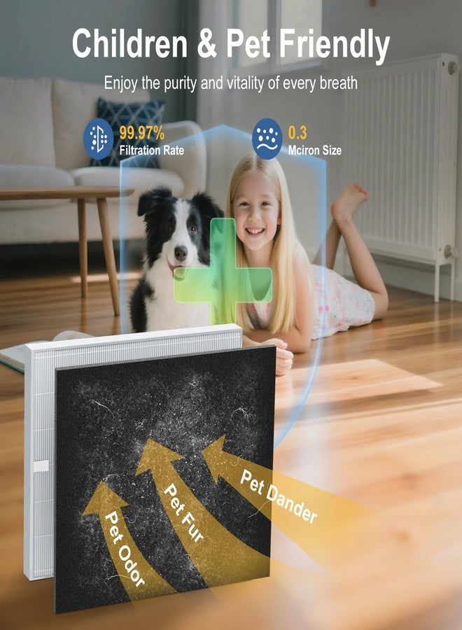 PETOX فلتر بديل PETOX AP-1512HH لأجهزة تنقية الهواء Coway Airmega AP-1512HH و Airmega 200M، طقم فلترين HEPA وستة فلاتر كربون، رقم المنتج 3304899 - Image 3