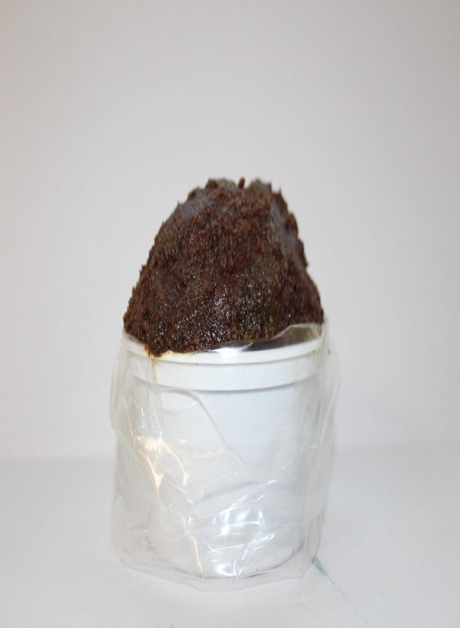 3CayG 8oz Bacuri Butter Raw Unrefined for Skin and Hair Nourishment - Image 5