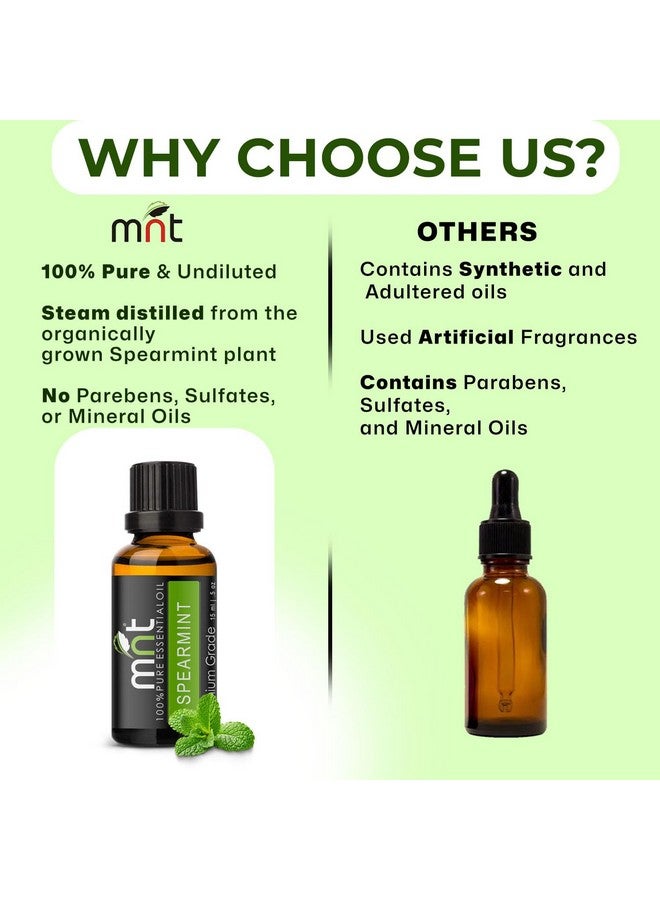 MNT Spearmint Essential Oil 100% Pure, Natural & Undiluted Therapeutic Grade Oil For Hair, Skin, Body & Aromatherapy (15Ml) - Image 4