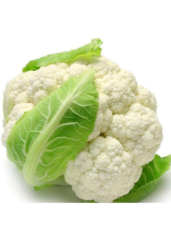 BIOCARVE SEEDS Cauliflower seeds - Image 2