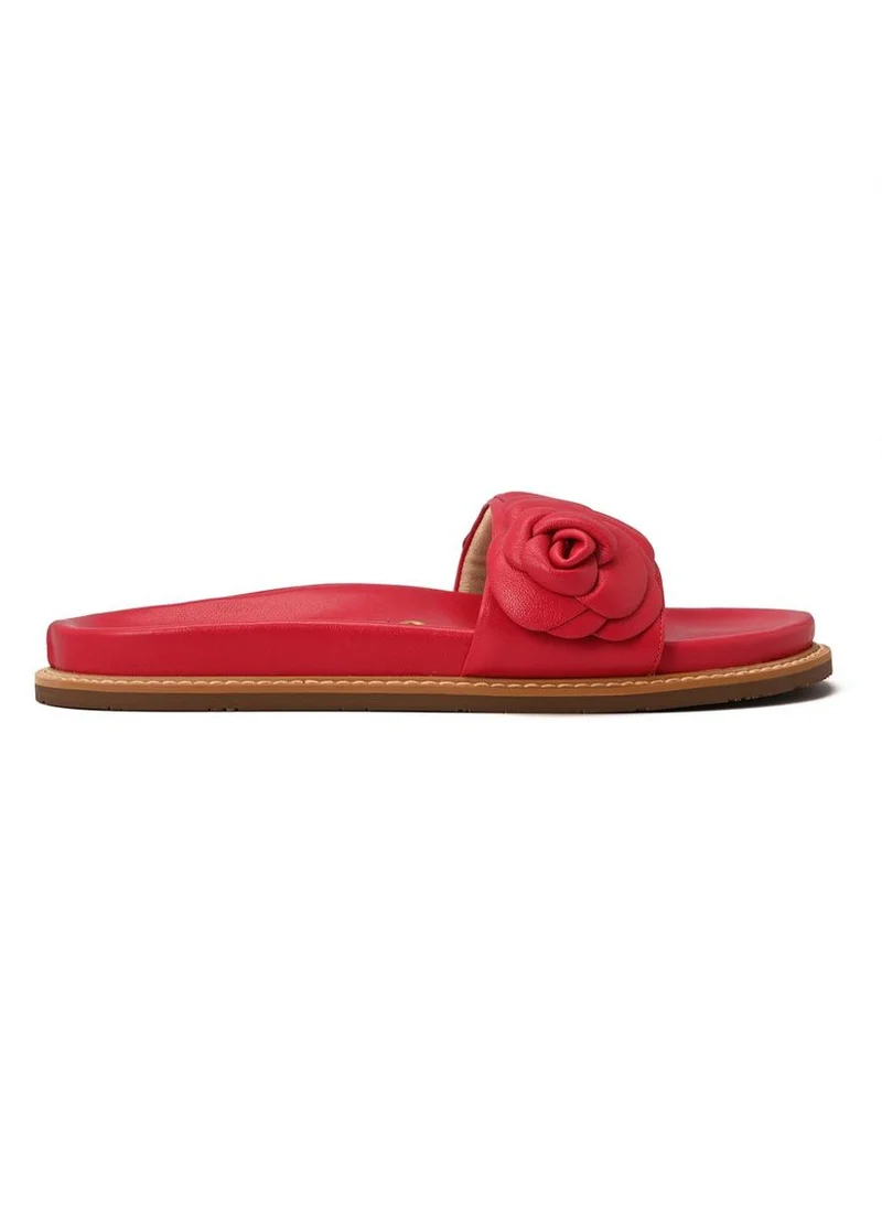 Carmen Steffens Papete Flower Red Orchidarium