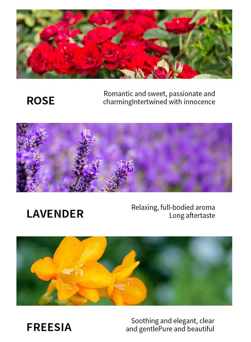 HANKEY 6-PCS Premium Aromatherapy Essential Oil Set, Plant Extract 10ml*6 - Image 5