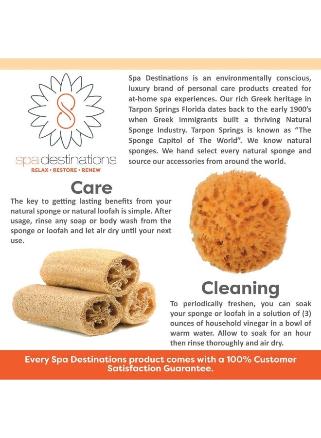 spa destinations Spa Baby Absorbent Natural Bath Sponge - Image 4