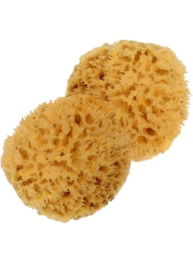 spa destinations Spa Baby Absorbent Natural Bath Sponge - Image 3