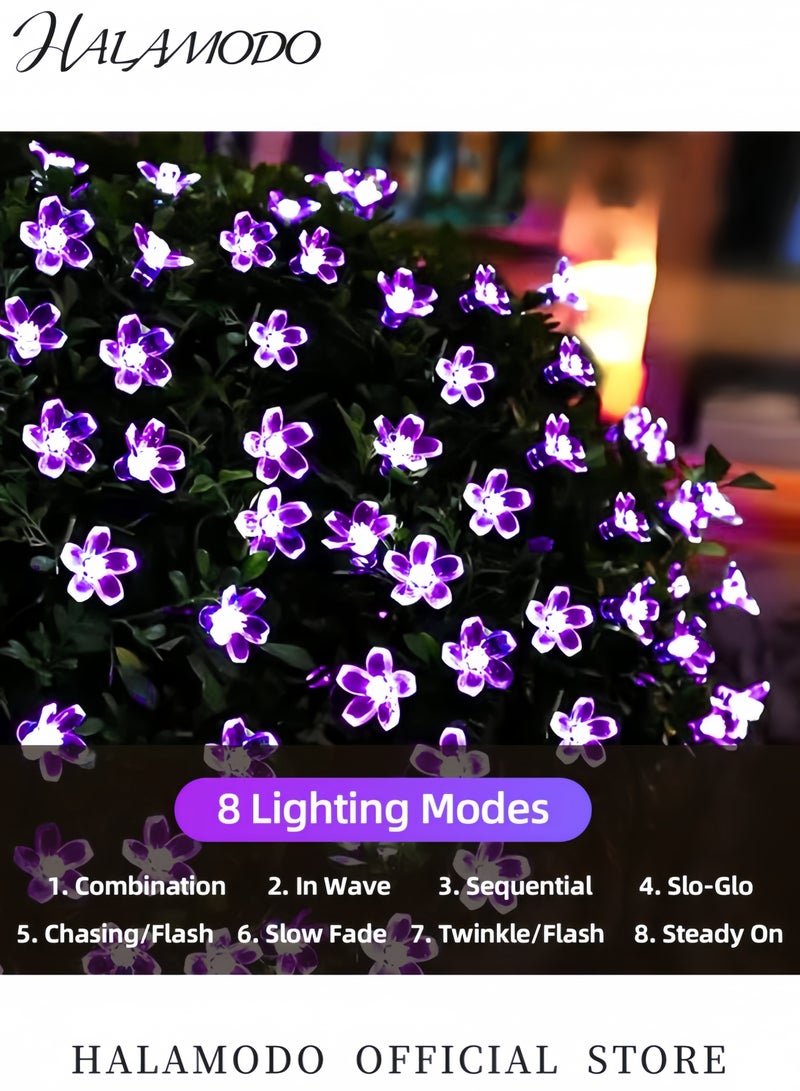 HALAMODO 50 LED Cherry Blossom Solar String Light For Christmas Purple 5x40centimeter 5x40cm  - Image 3