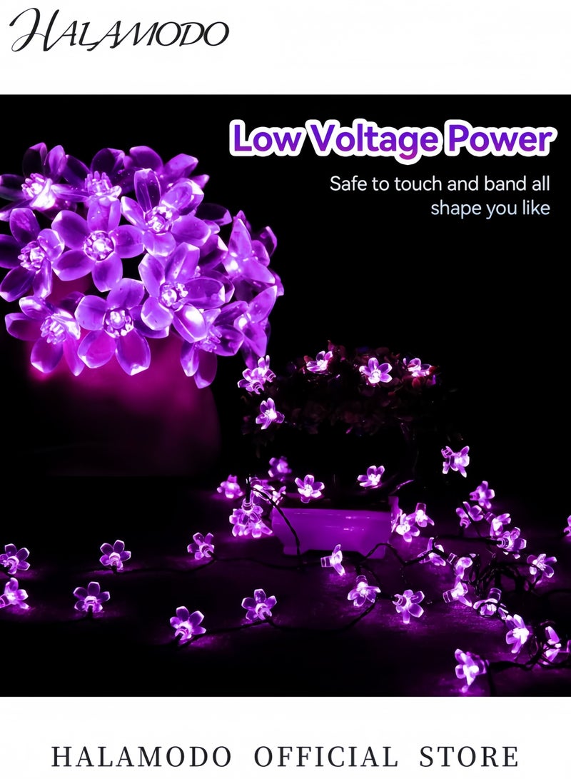 HALAMODO 50 LED Cherry Blossom Solar String Light For Christmas Purple 5x40centimeter 5x40cm  - Image 4