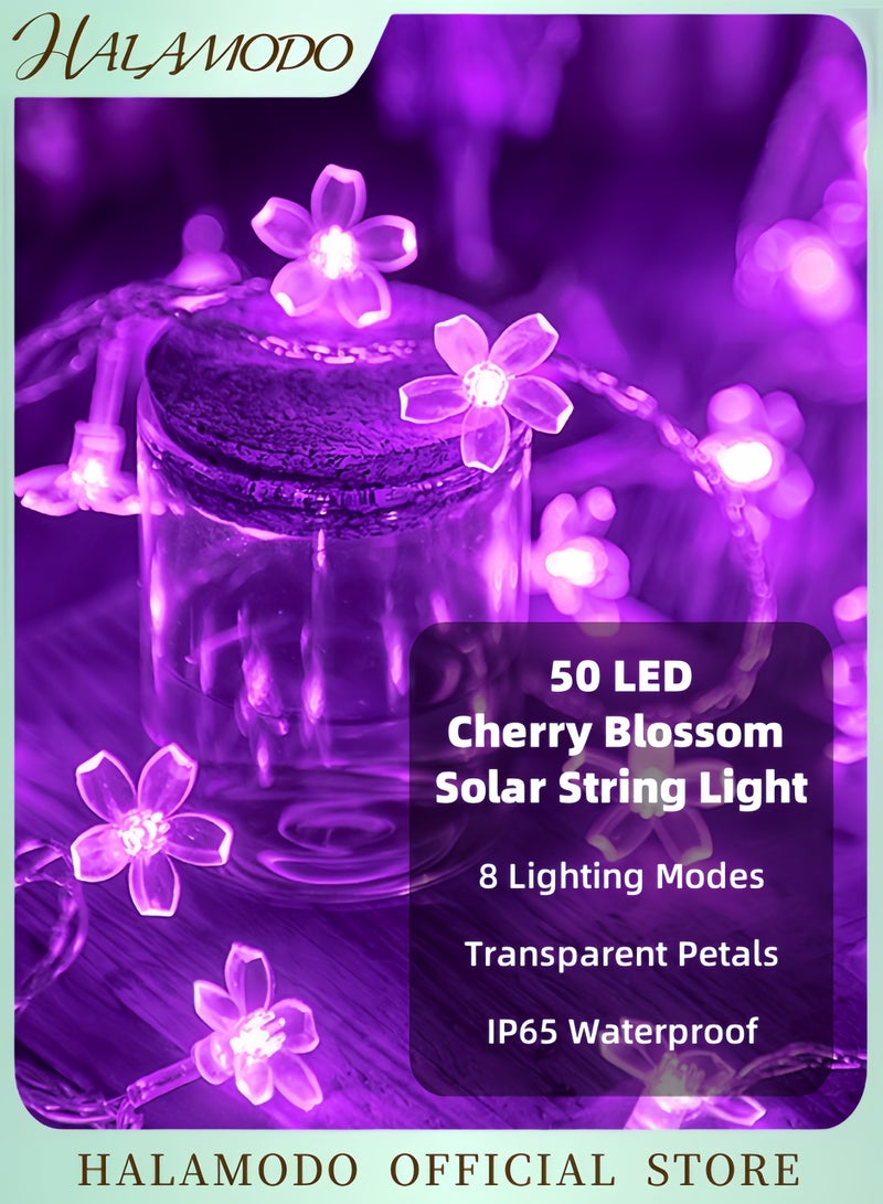 HALAMODO 50 LED Cherry Blossom Solar String Light For Christmas Purple 5x40centimeter 5x40cm  - Image 1