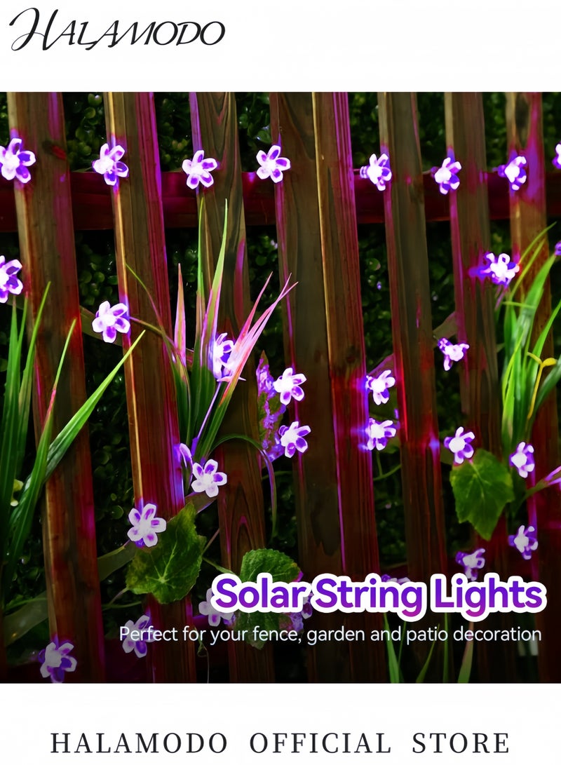 HALAMODO 50 LED Cherry Blossom Solar String Light For Christmas Purple 5x40centimeter 5x40cm  - Image 2