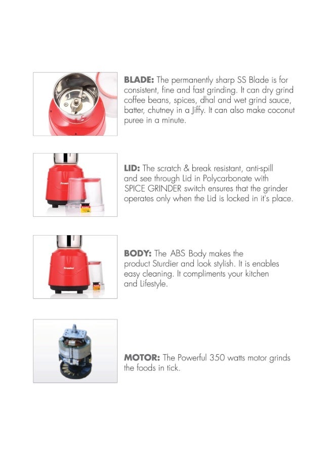 Premier Spice Grinder | 350W Wet & Dry Multifunction Food Grinder | Stainless Steel Herbs, Spices, Nuts, and Coffee Grinder for Home & Office with Detachable Jar - Image 2