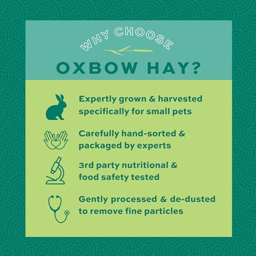 Oxbow Animal Health Western Timothy Hay, Guinea Pig Hay, Small Pet Bunny Supplies, All Natural Grass for Guinea Pig, Bunny, Chinchilla & Hamster, Oxbow Rabbit Supplies for Bunnies, 9 lb box - Image 4