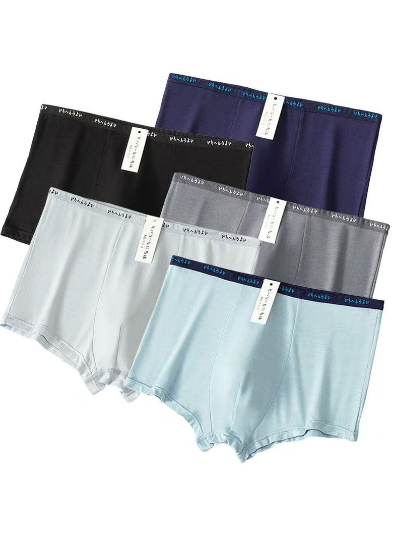 MUJI MUJI 5-piece set of men's boxy underwear and panties, breathable and elastic cotton moisture absorbing underwear, birthday gift - for husband and boyfriend on anniversaries  - Image 1