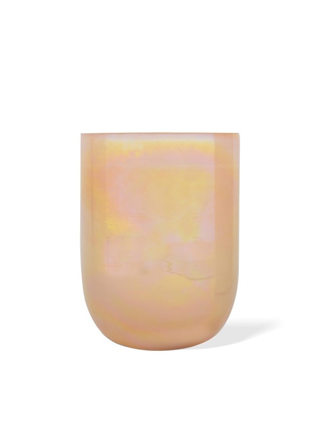 Shankara Illume Candle - Peppermint & Sandalwood | Luxury Fragrance Candle - Aromatherappy, Relaxation, Meditation, Refresh or Rejuvinate, Gifting | Burn time 35-40 hrs (270 gm) - Image 3