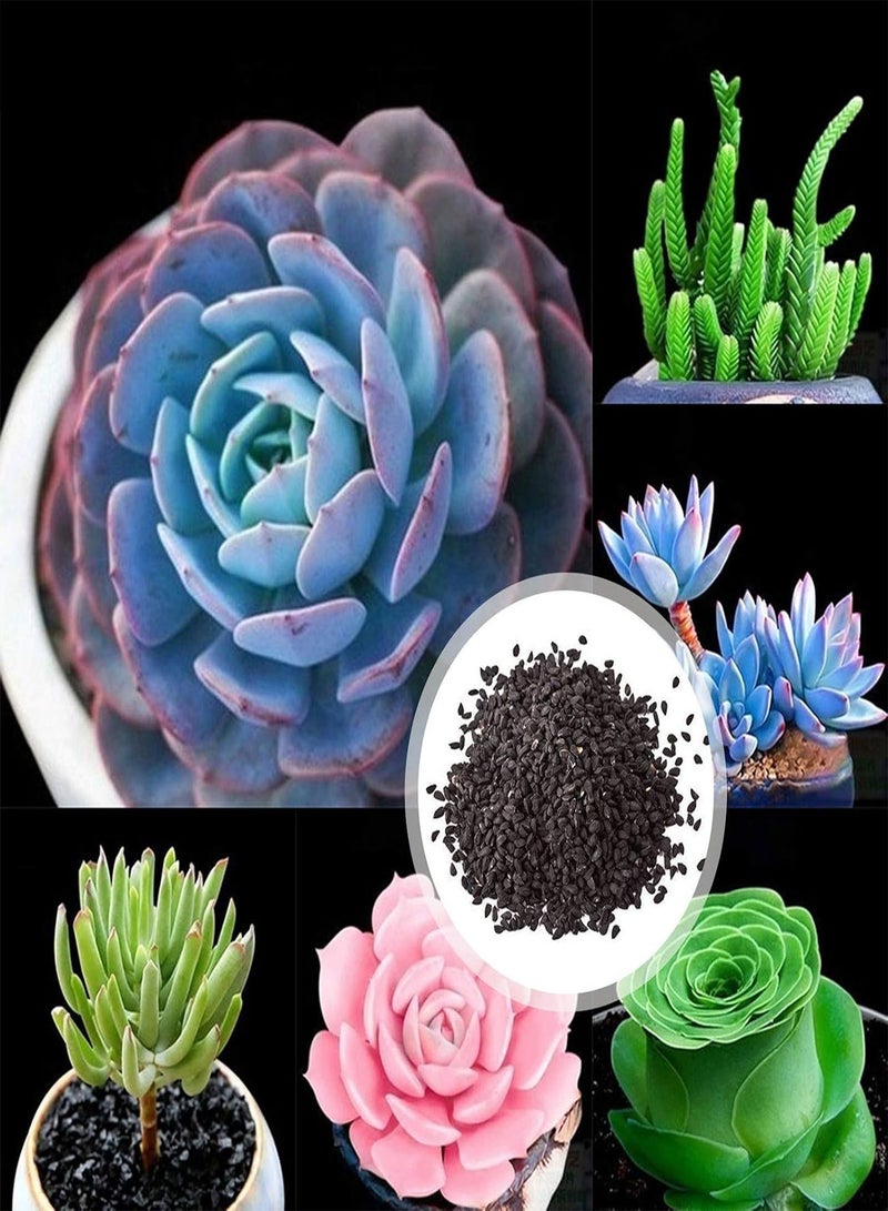 GGOOT Green Garden Flower Plants-100Pcs/Bag Succulent Seeds Mini Multi-use Temperature Sensitive Aesthetic Plant Seeds for Desktop - F - Image 2