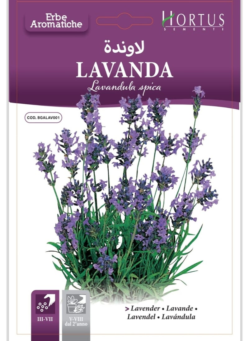Lavender Seeds