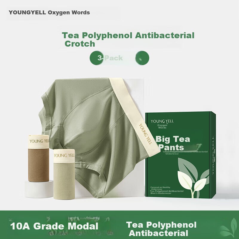 JD Jing Zao YOUNGYELL Men's Underwear Plus Size Modal 10A Antibacterial Cotton Crotch Boxer Briefs Sports Underwear Gift Box 3-Pack - Image 1