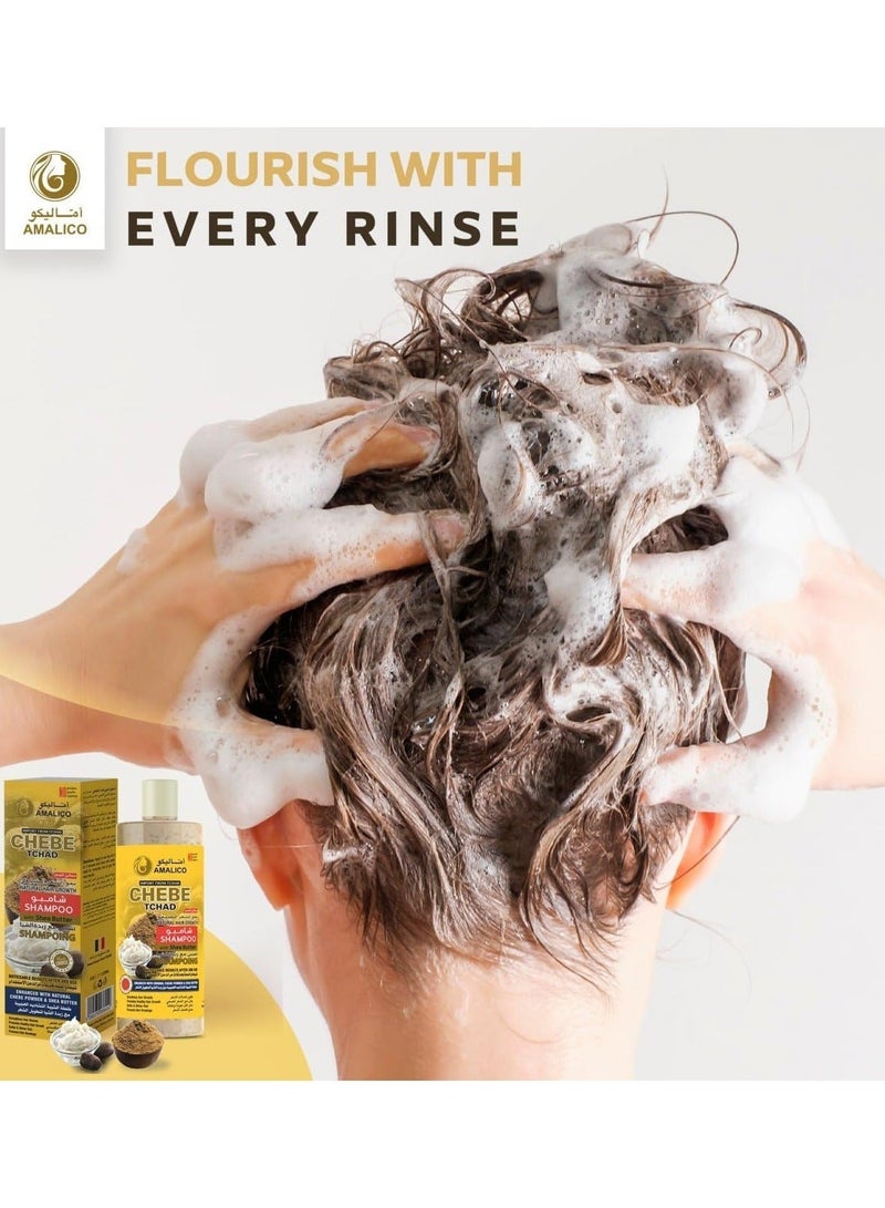 AMALICO Chebe Tchad Shampoo With Shea Butter 250 ml - Image 5