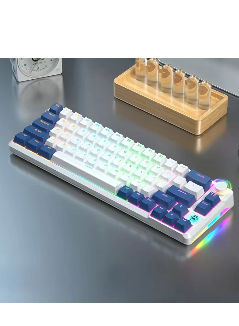 كيبورد العاب ميكانيكي، 68 مفتاح، مفتاح احمر/ازرق، اضواء RGB، عربي، سلكي USB نوع C، مقاوم للماء والغبار ازرق ملكي - مفتاح احمر - Image 1
