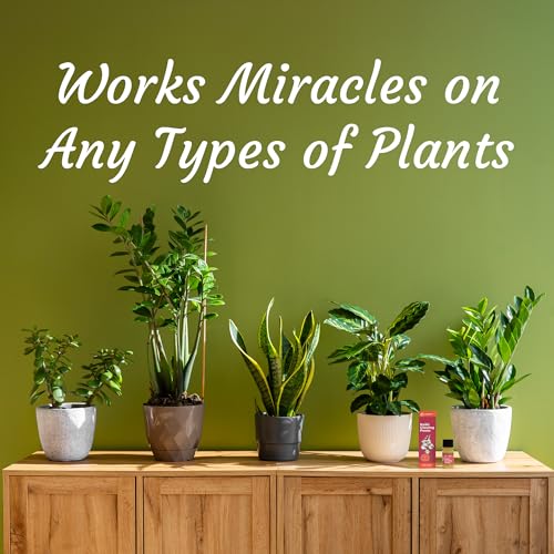 Miracle Lab Keiki Cloning Paste - Special Cytokinin Formula Gives a New Baby Orchid (Keiki) in Weeks - Can Be Used on All Kinds of Orchids and Also House Plants (2 Pack) - Image 4