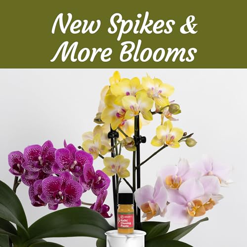 Miracle Lab Keiki Cloning Paste - Special Cytokinin Formula Gives a New Baby Orchid (Keiki) in Weeks - Can Be Used on All Kinds of Orchids and Also House Plants (2 Pack) - Image 3