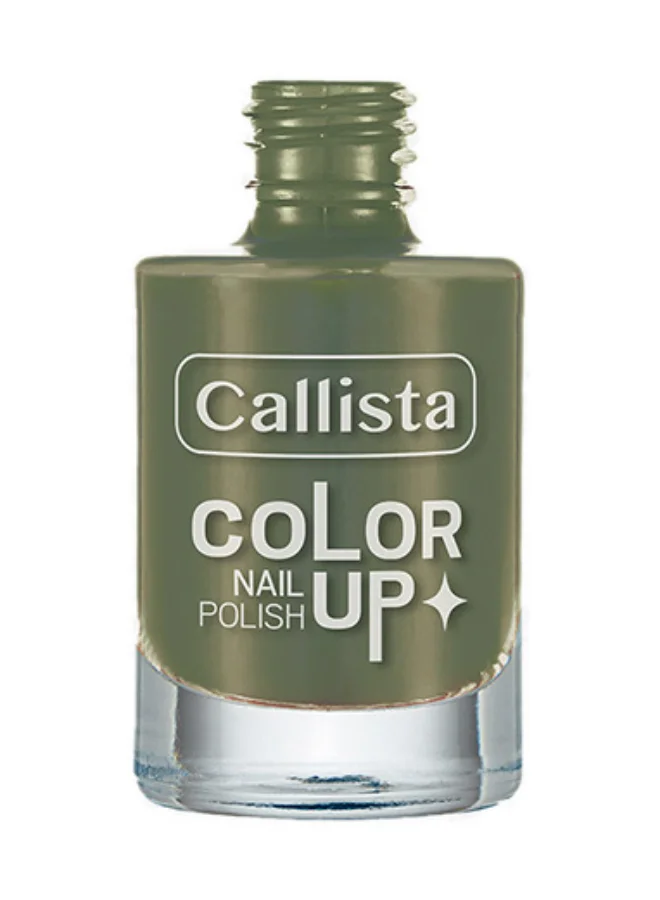 كاليستا طلاء أظافر Color Up 580