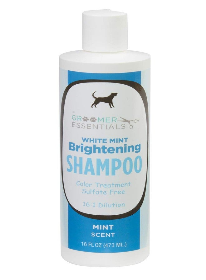 Groomer Essentials White Mint Brightening Shampoo - 16 oz. - Image 1