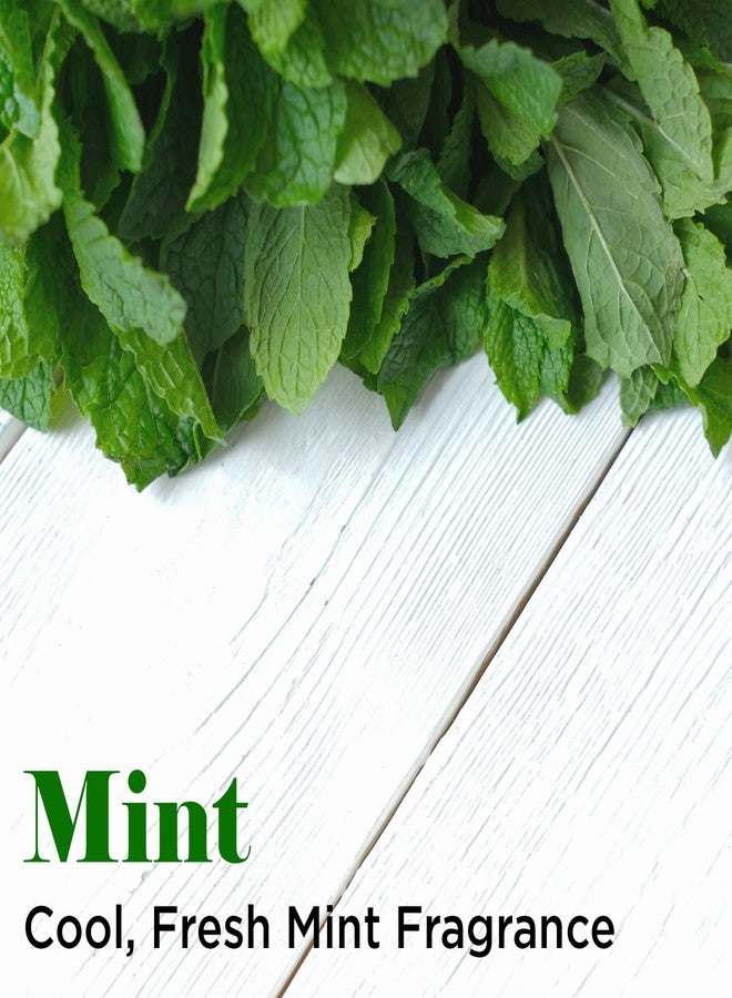 Groomer Essentials White Mint Brightening Shampoo - 16 oz. - Image 4