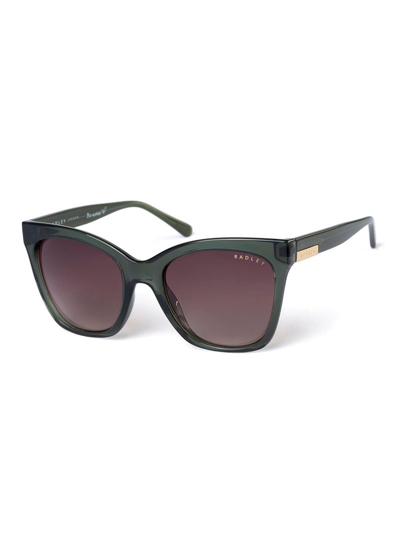 Radley نظارات شمسية نسائية RDS-6504 بتصميم فراشة ملونة بالأسود/الصدف 55 مم - Image 1