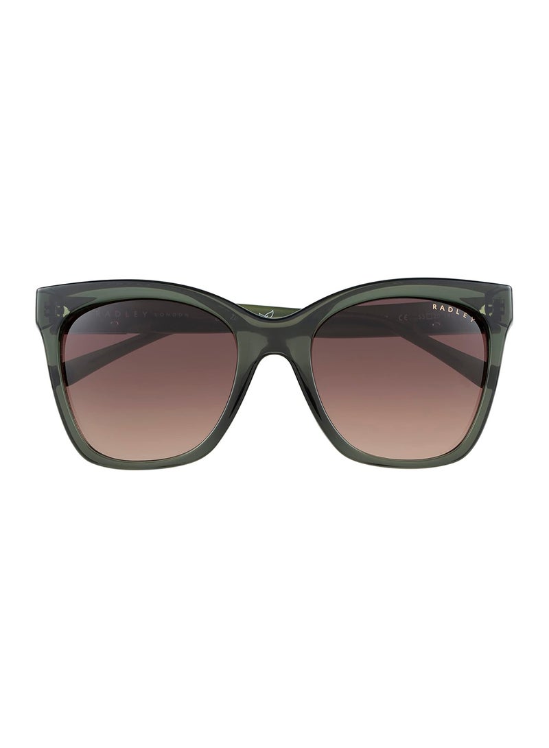 Radley نظارات شمسية نسائية RDS-6504 بتصميم فراشة ملونة بالأسود/الصدف 55 مم - Image 2