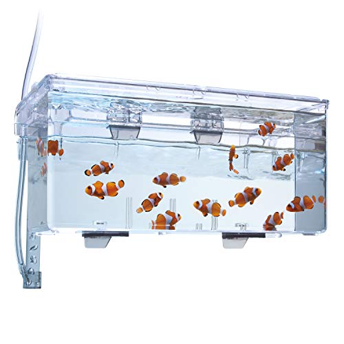 Marina Fluval Multi-Chamber Holding and Breeding Box, Large – Up To 3 Separate Housing Compartments - Image 3
