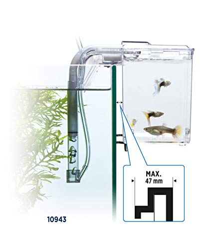 Marina Fluval Multi-Chamber Holding and Breeding Box, Large – Up To 3 Separate Housing Compartments - Image 5