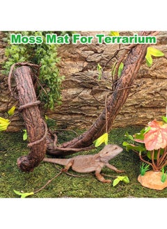 Kathson kathson Reptile Carpet, Natural Moss Mat for Terrarium, Bearded Dragon Tank Flooring Green Substrate Liner for Leopard Gecko Hermit Crab Lizard Tortoise (39.37" X 11.81")  - Image 5
