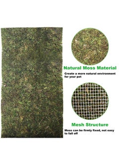 Kathson kathson Reptile Carpet, Natural Moss Mat for Terrarium, Bearded Dragon Tank Flooring Green Substrate Liner for Leopard Gecko Hermit Crab Lizard Tortoise (39.37" X 11.81")  - Image 3