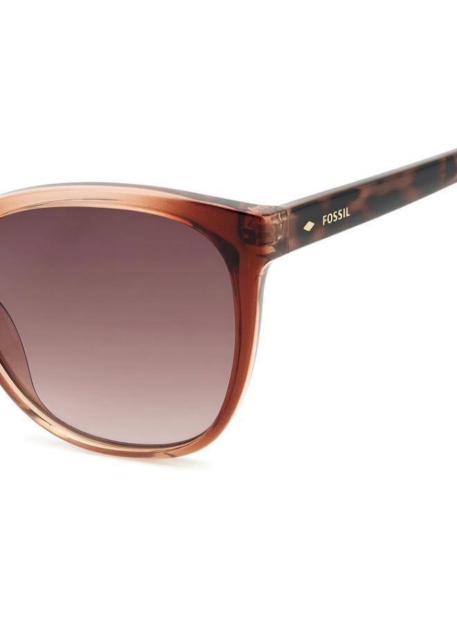 فوسيل إطارات نظارات شمسية مربعة - Image 4