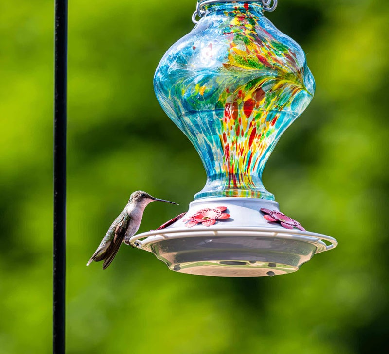 BOLITE Hummingbird Feeder, BOLITE Glass Hummingbird Feeders for Outdoors Hanging, Hand Blown Twisted with Ant Moat and Five Feeding Ports, 24 Ounces, Leak Proof, Blue, Gifts for Women Men, Gifts for Mom Dad - Image 3