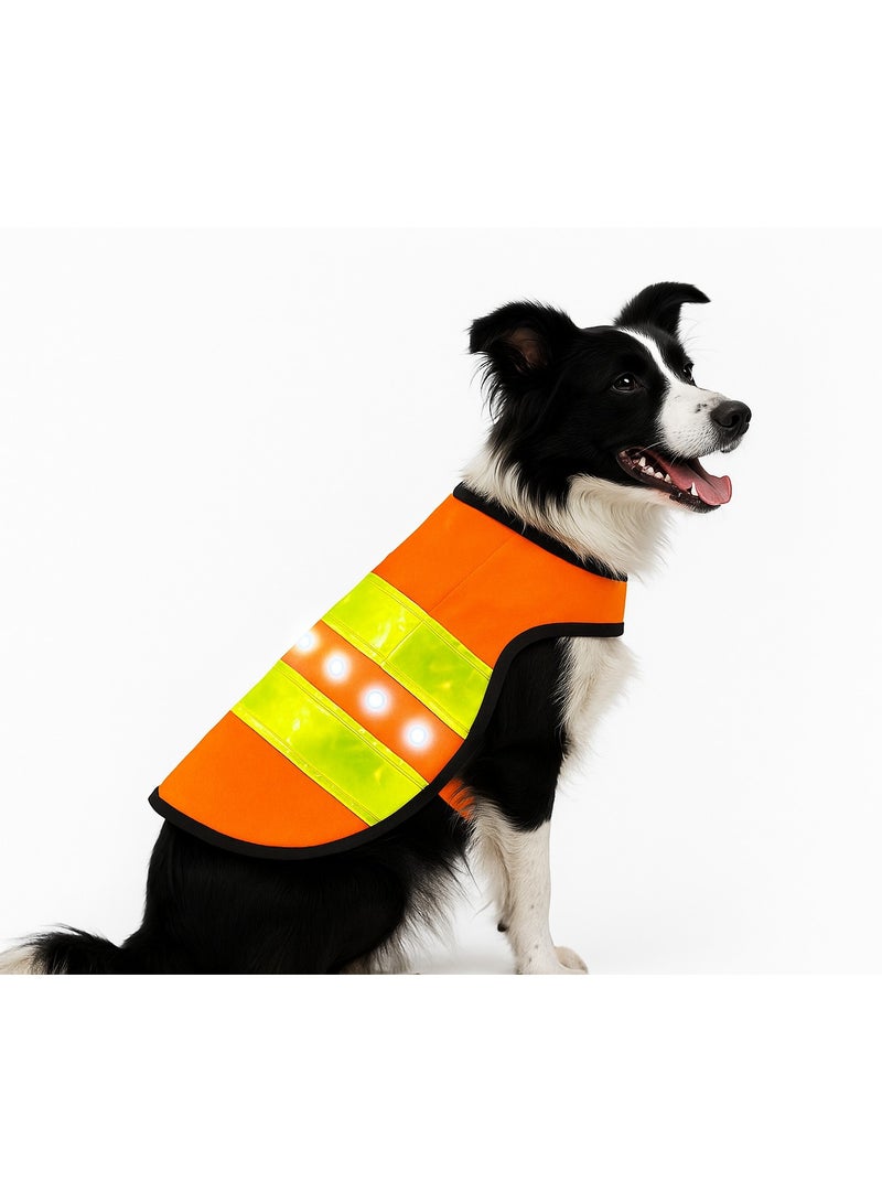LED Safety Vest for Medium Dogs – Battery Powered & High Visibility