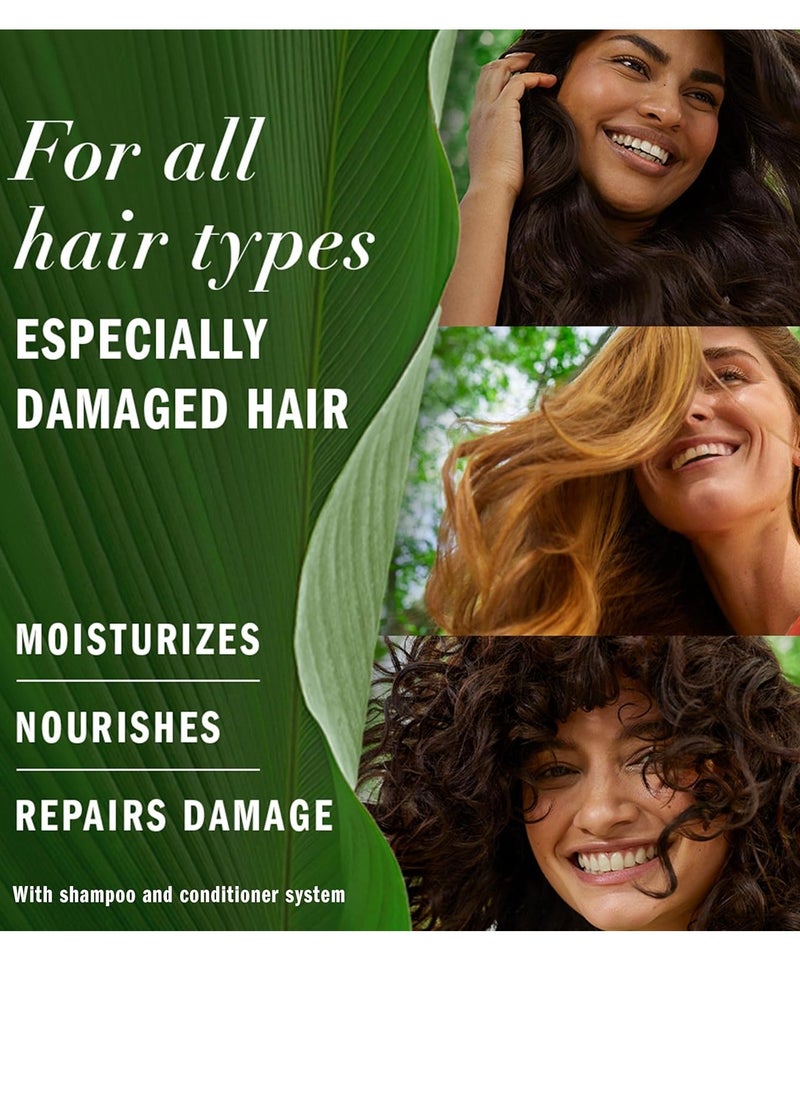 Herbal Essences Herbal Essences Argan Oil Repair Shampoo & Conditioner Set, Moisturizes & Smoothes, Paraben-Free, Color-Safe, pH-Balanced, Citrus Scent, 20.2 Fl Oz, 2-Pack  - Image 3