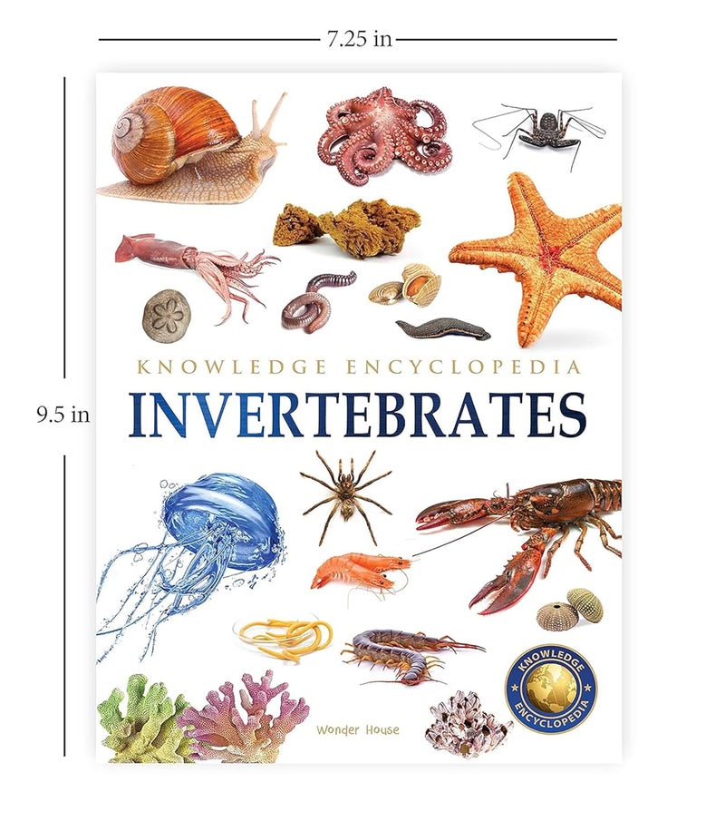 Animals - Collection of 6 Books : Knowledge Encyclopedia For Children (Box Set) - Image 3