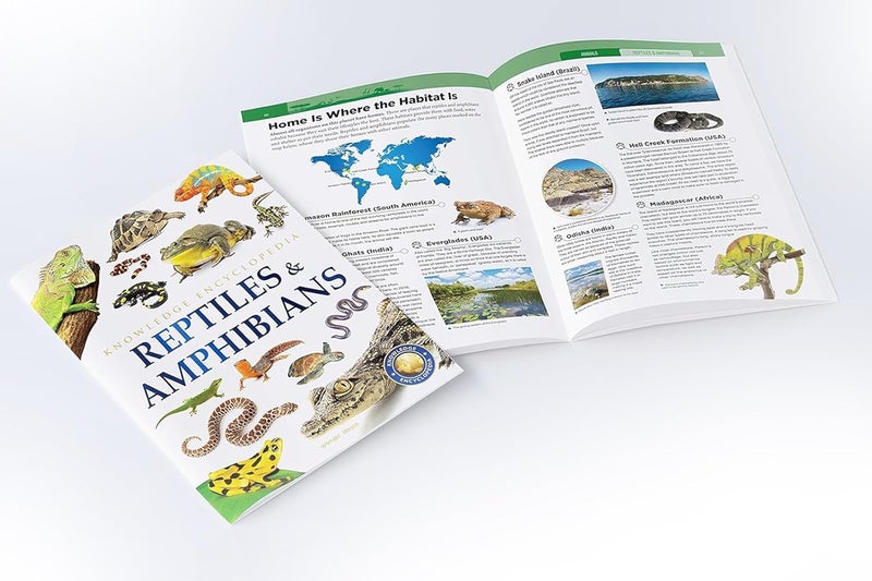 Animals - Collection of 6 Books : Knowledge Encyclopedia For Children (Box Set) - Image 5