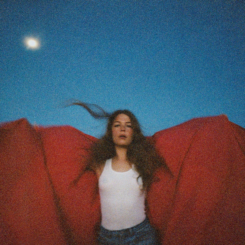 Heard It In A Past Life[LP]