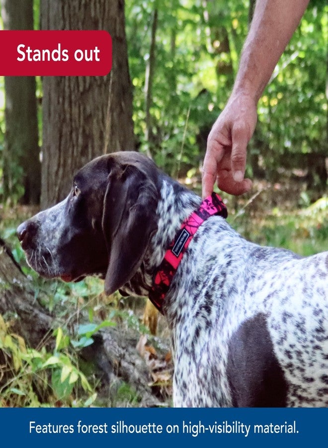 Coastal Pet - Water & Woods Blaze Adjustable Patterned Dog Collar by Coastal Pet - Durable Snap-Lock Buckle - Highly Visible with Forest Silhouette Pattern - Neon Pink Tree, Medium - 1" x 14"-20" - Image 3