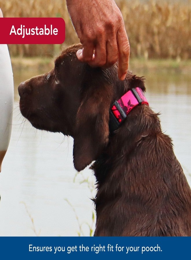 Coastal Pet - Water & Woods Blaze Adjustable Patterned Dog Collar by Coastal Pet - Durable Snap-Lock Buckle - Highly Visible with Forest Silhouette Pattern - Neon Pink Tree, Medium - 1" x 14"-20" - Image 4