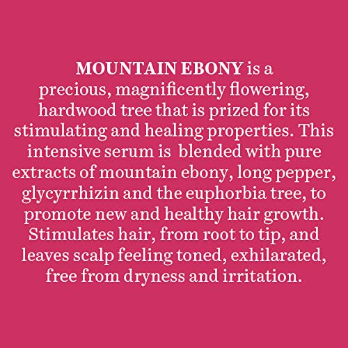 Biotique Mountain Ebony Vitalizing Serum Prevents Hair Fall Soothes Scalp Promotes Hair Growth 100 Botanical Extracts Suitable for All Skin Types 120ml Pack of 2 - Image 5
