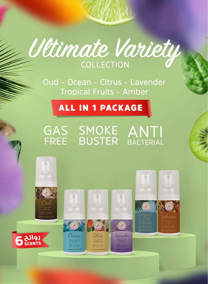 Fleur De Printemps Ultimate Variety Air Freshener Box | 6 Scents: Oud, Ocean, Citrus, Lavender, Tropical Fruits, Amber | Diverse & Captivating | Gas-Free & Anti-Smoking | Ideal for Home, Car, Office, Fabrics - Image 1